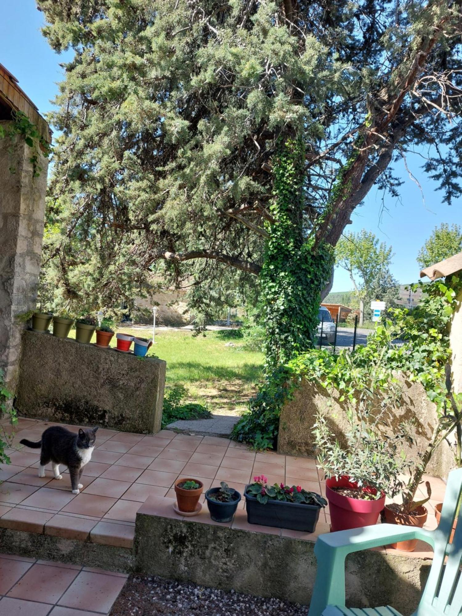 La Maison De Marie-Jeanne - Le Rocher D'Ongles Exterior foto