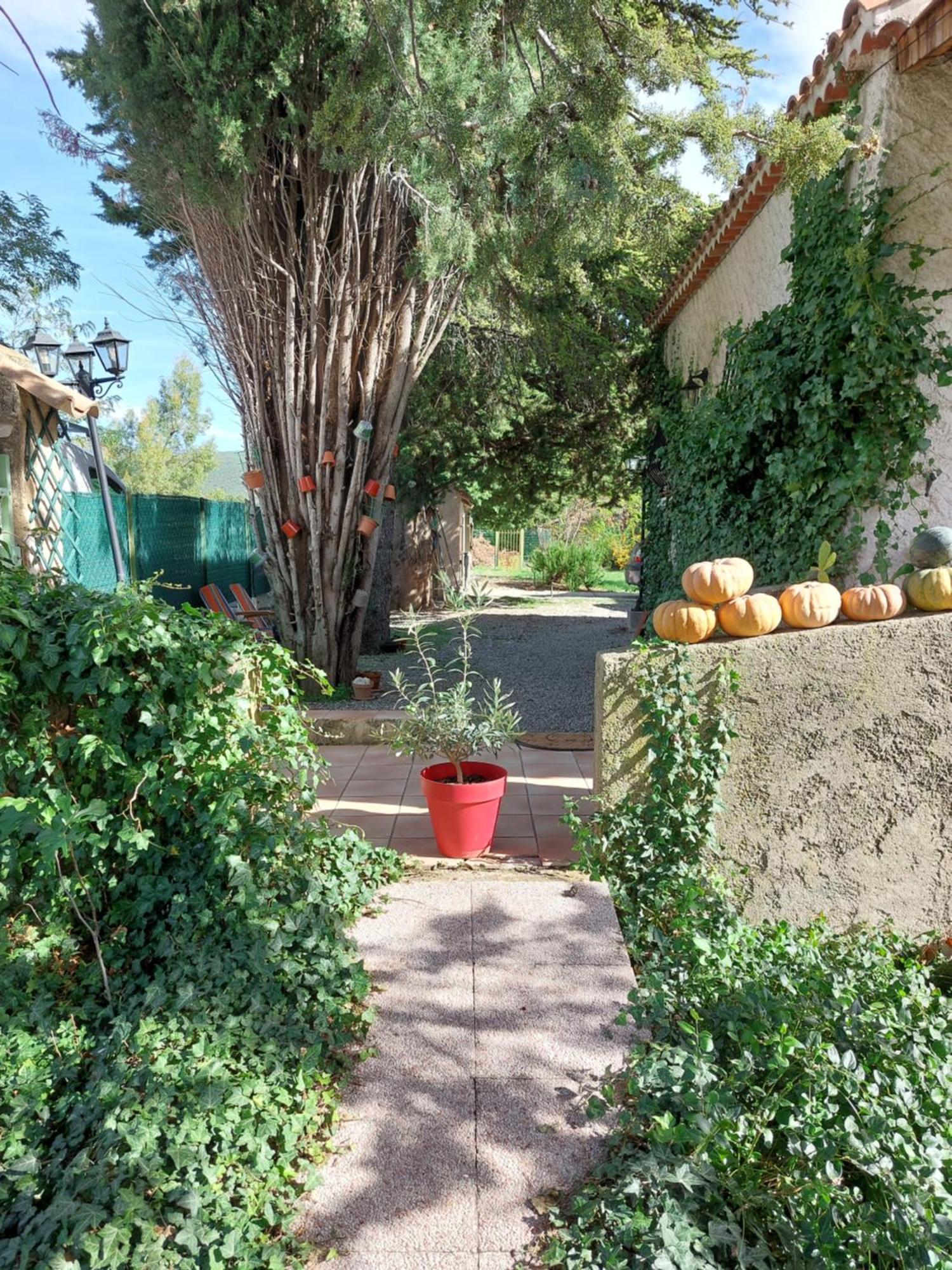 La Maison De Marie-Jeanne - Le Rocher D'Ongles Exterior foto